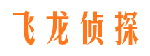 河东区飞龙私家侦探公司